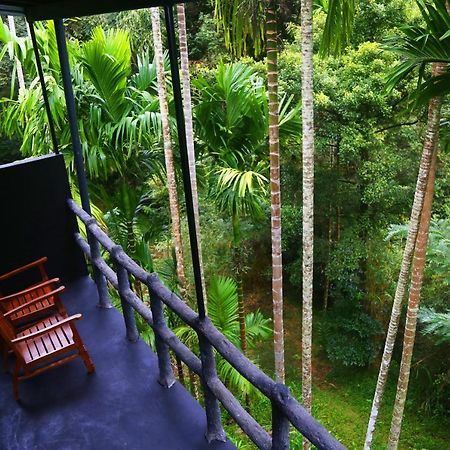 Cool Garden Cottage Belihuloya Buitenkant foto