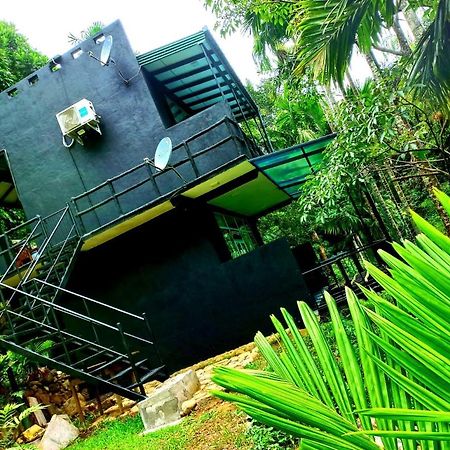Cool Garden Cottage Belihuloya Buitenkant foto